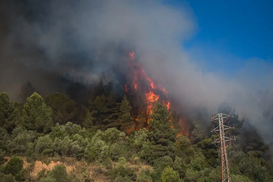 Incendio en las inmediaciones del pol&iacute;gono del Congost en Martorell (Barcelona), este mes de julio