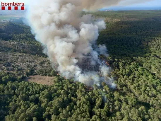 Los Bombers de la Generalitat  trabajan en un incendio de vegetaci&oacute;n forestal en el macizo del Montgr&iacute; (Girona)