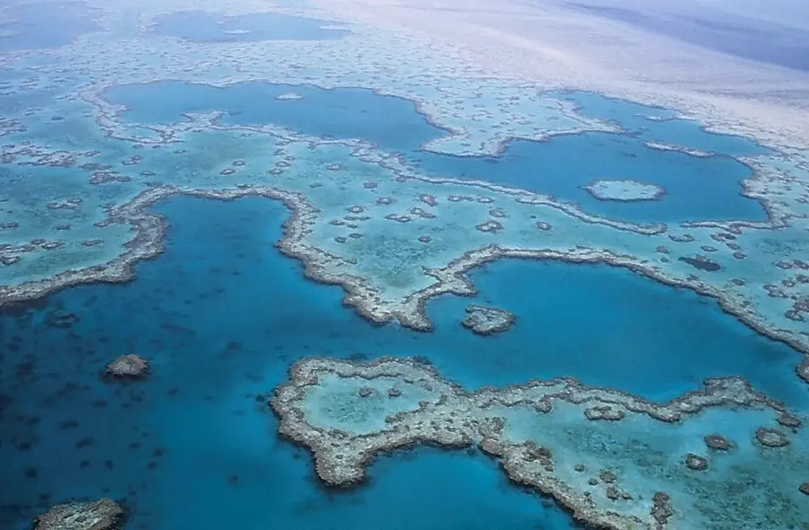 Archivo - La Gran Barrera de Coral australiana