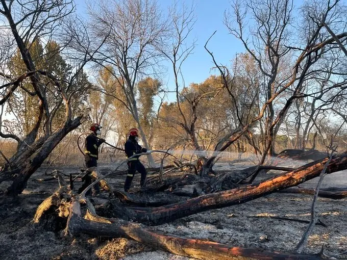 Bomberos de la Comunidad act&uacute;an en un incendio originado en Fuente El Saz de Jarama.
