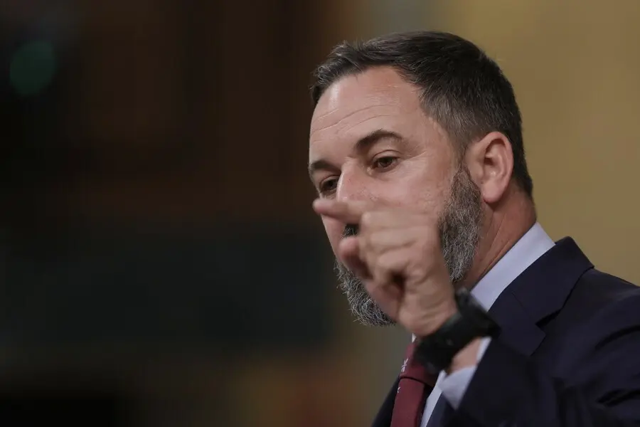El l&iacute;der de Vox, Santiago Abascal, foto de recurso