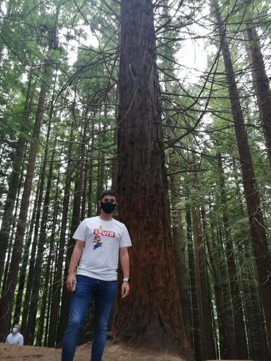 El diputado de Cs Diego Mara&ntilde;&oacute;n en el Monumento Natural de las Secuoyas del Monte Cabez&oacute;n.