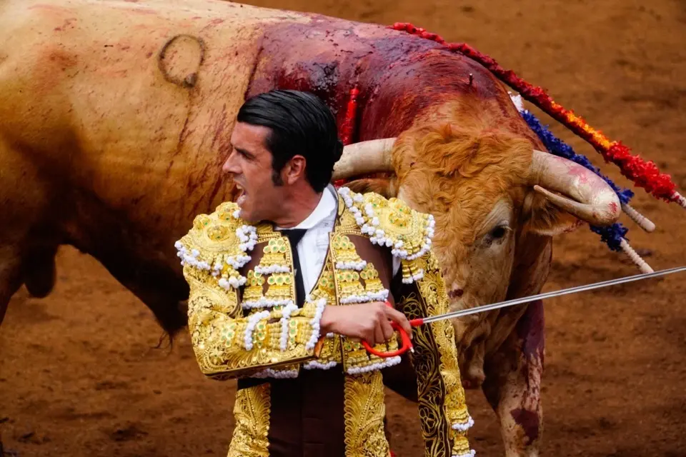 240721 santanderTOROSFOTO NACHO CUBERO