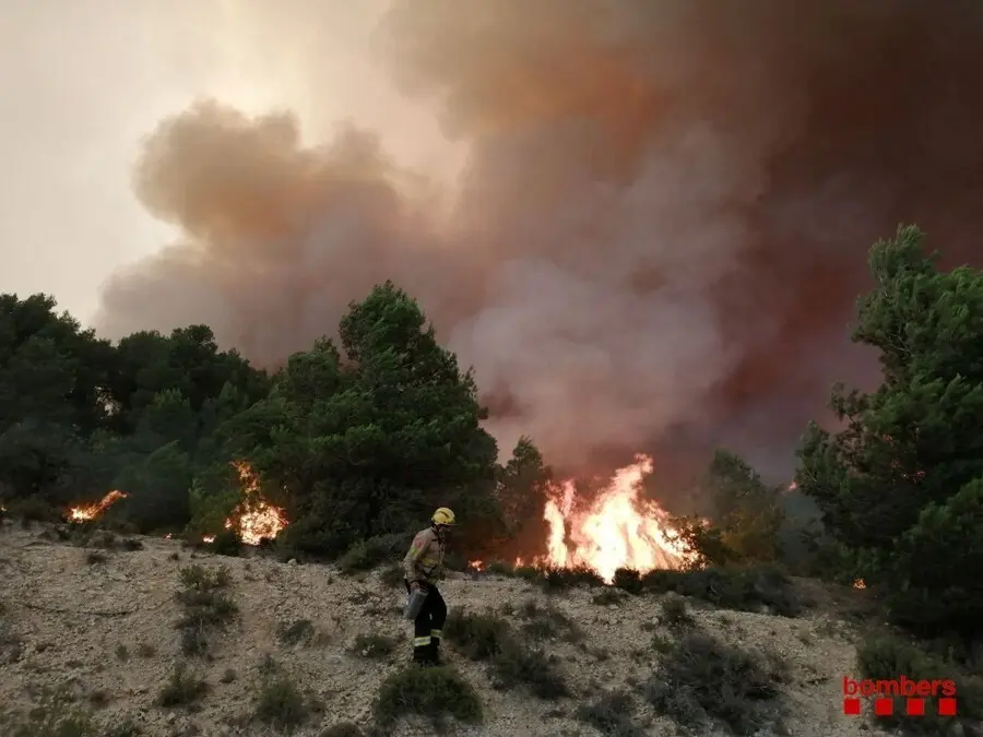 Imagen del fuego de Santa Coloma de Queralt (Tarragona), que ha quemado unas 1.200 hect&aacute;reas