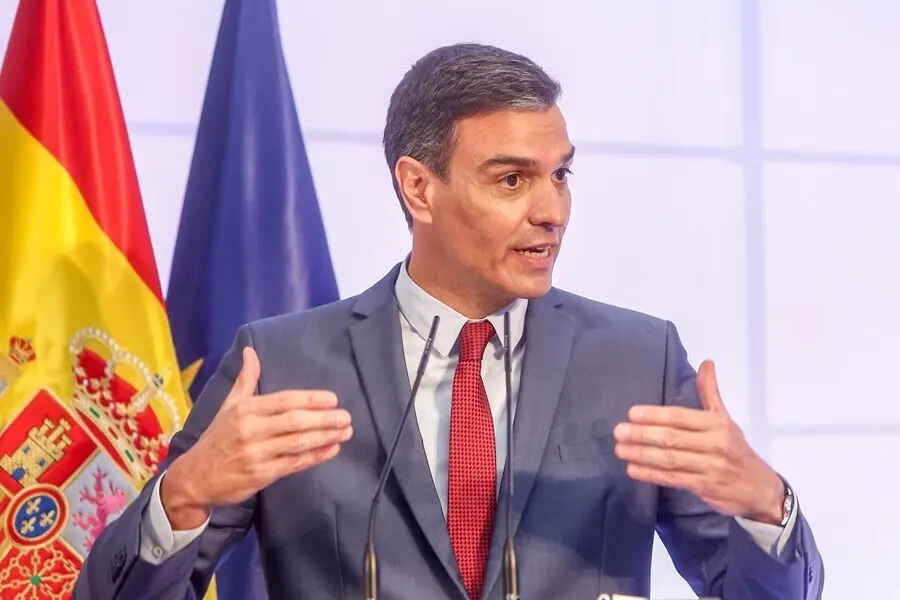 El presidente del Gobierno, Pedro S&aacute;nchez