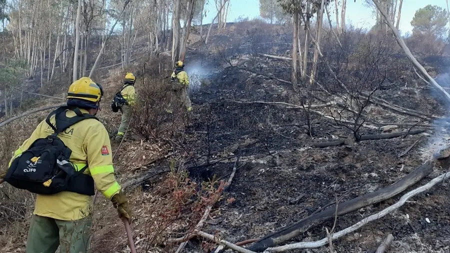 Estabilizado el incendio de Villarrasa