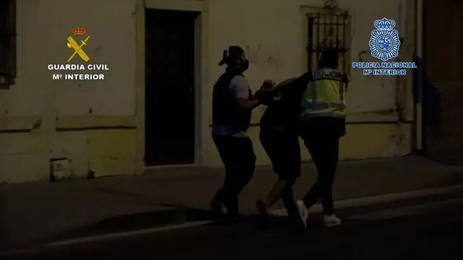 Agentes de la Polic&iacute;a Nacional y Guardia Civil con uno de los detenidos