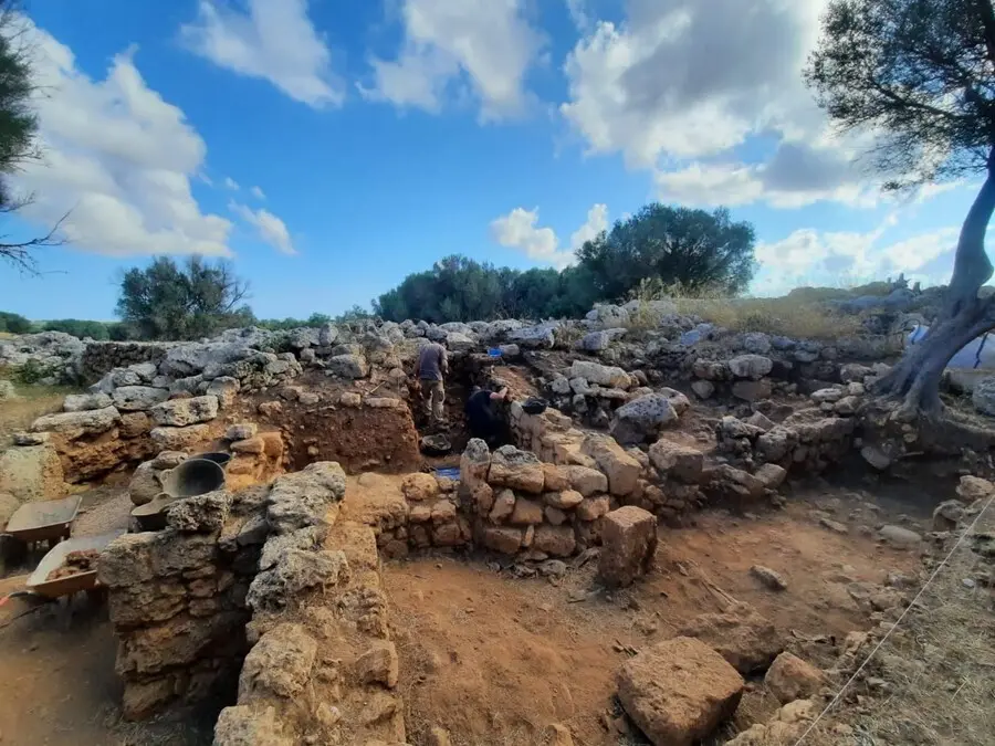 Detalle de la excavaci&oacute;n