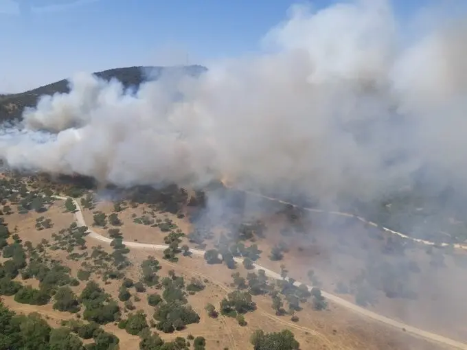Incendio en Alcal&aacute; de los Gazules.