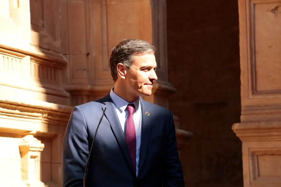 El presidente del Gobierno, Pedro S&aacute;nchez