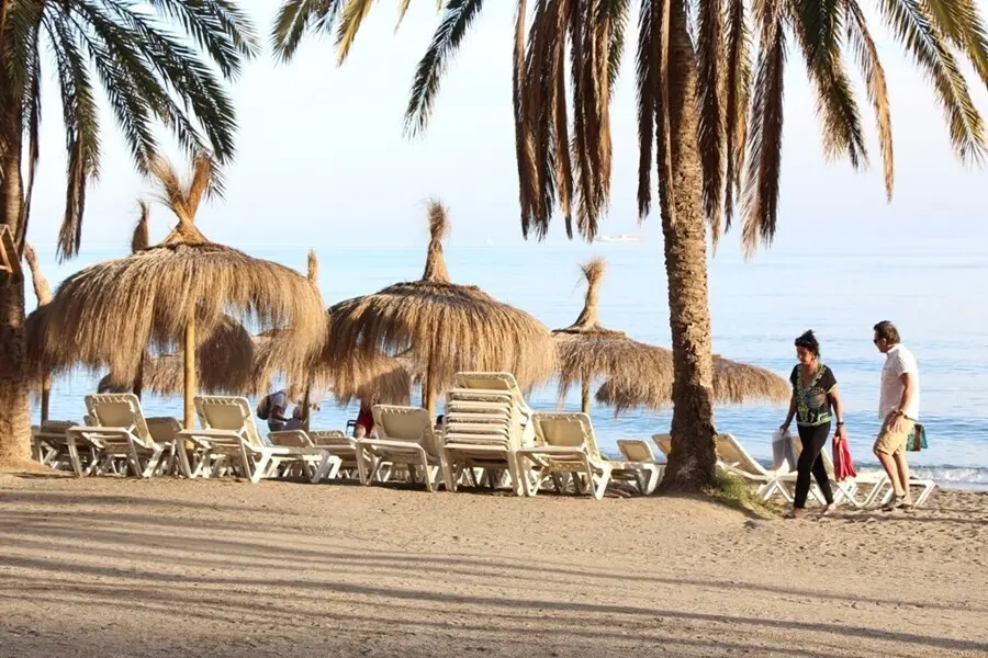Archivo - Turismo, hamaca, sombrilla, playa, verano, palmera