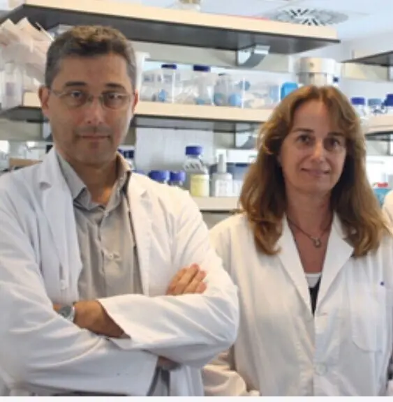 Investigadores