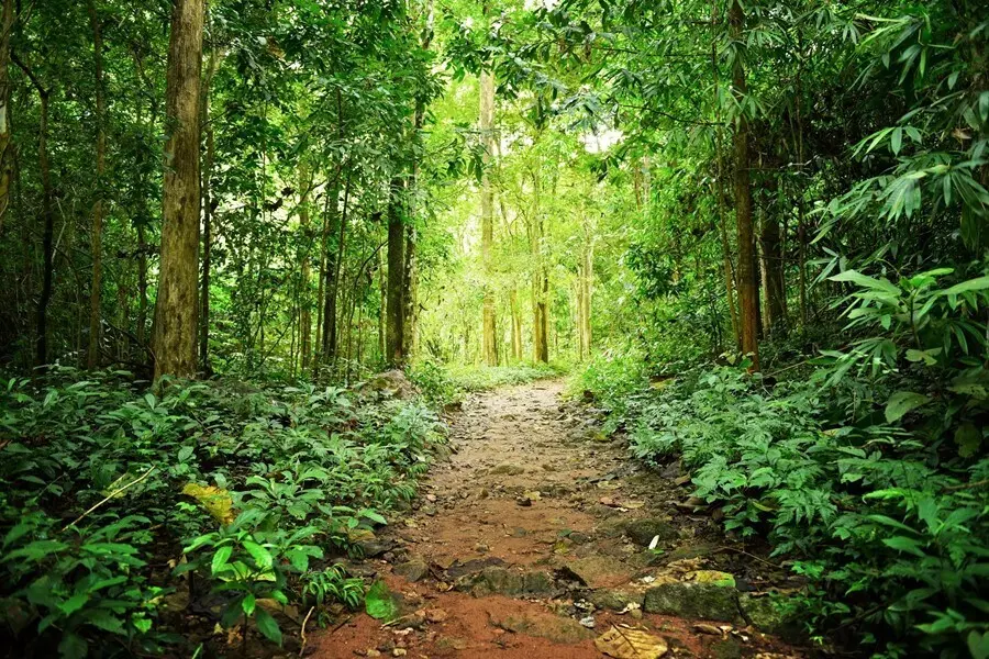 Biodiversidad