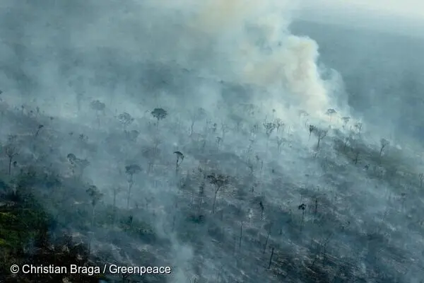Burnt spots in a recently deforested area, registered by Deter 2021 and Prodes 2019, in Apu&iacute;, Amazonas state.Every year, Greenpeace Brazil