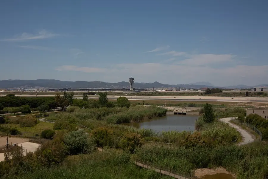Archivo - El aeropuerto de de Josep Tarradellas Barcelona-El Prat, cerca del espacio protegido natural de La Ricarda, a 9 de junio de 2021, en El Prat de Llobregat, Barcelona, Catalu&ntilde;a (Espa&ntilde;a). 