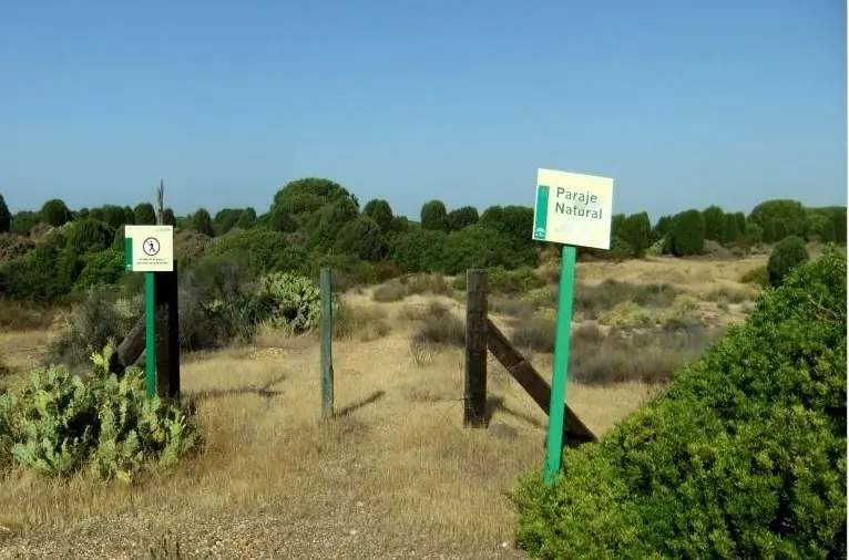 Uno de los parajes protegidos de la provincia de Huelva.