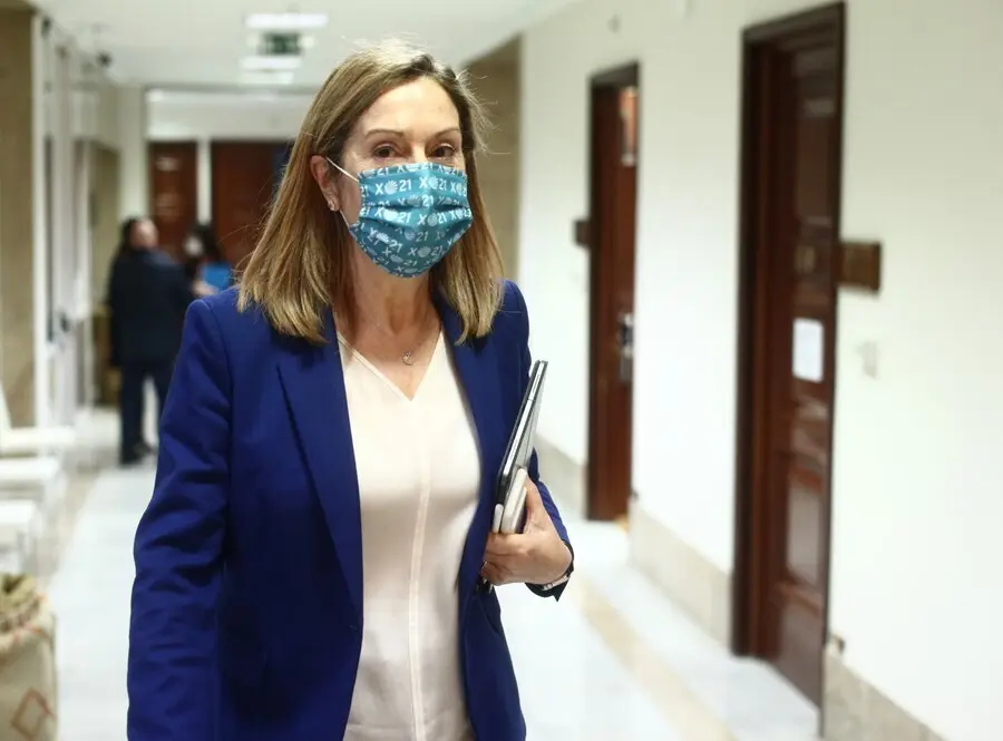 Archivo - La vicesecretaria de Pol&iacute;tica Social del PP, Ana Pastor. 
