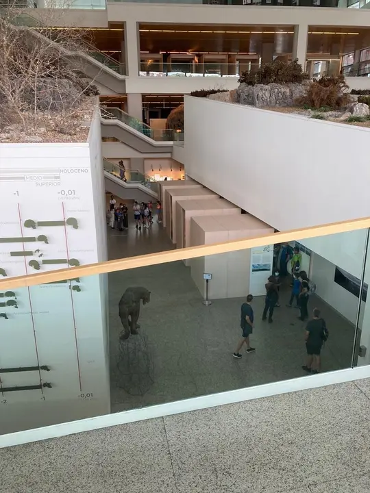 Archivo - Interior del Museo de la Evoluci&oacute;n Humana.