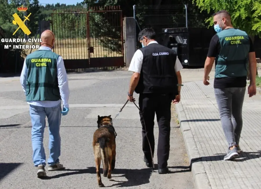 Agentes que han participado en la operaci&oacute;n 'Troppo'.