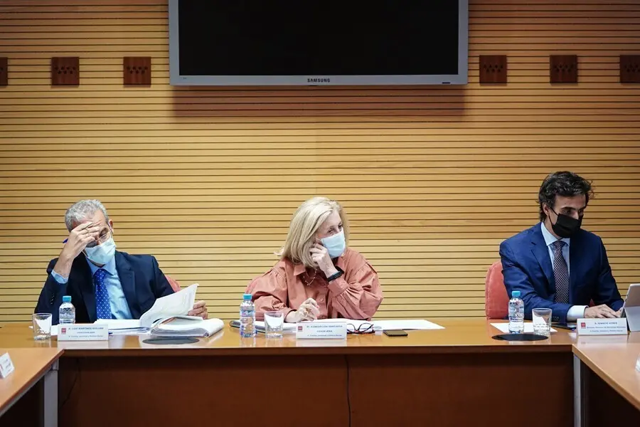 La consejera de Familia, Juventud y Pol&iacute;tica Social de la Comunidad de Madrid, Concepci&oacute;n Dancausa.