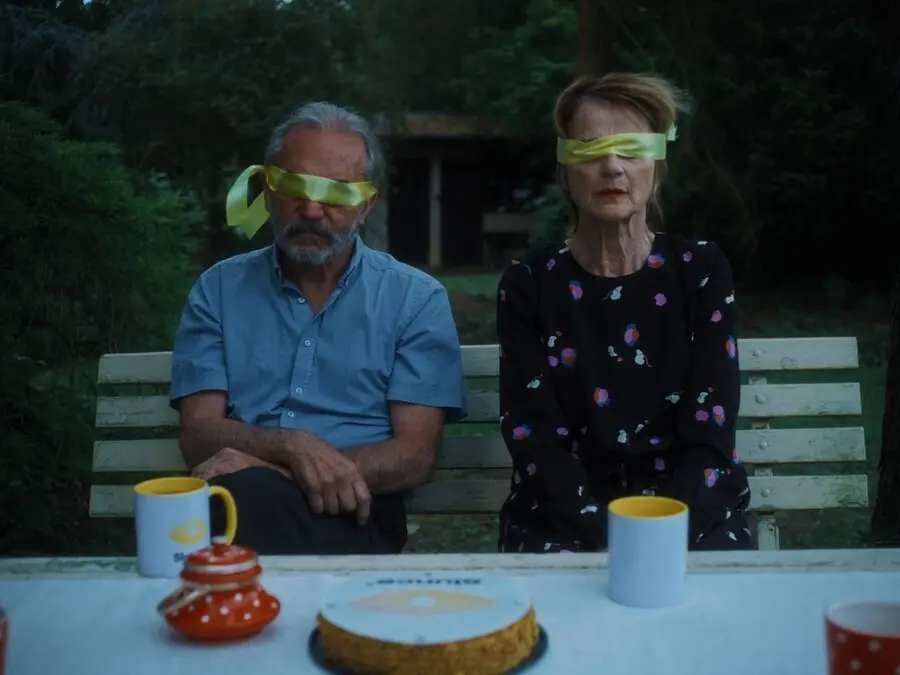 Un total de 14 cortometrajes competir&aacute;n en la 20 edici&oacute;n de Nest del Festival de San Sebasti&aacute;n