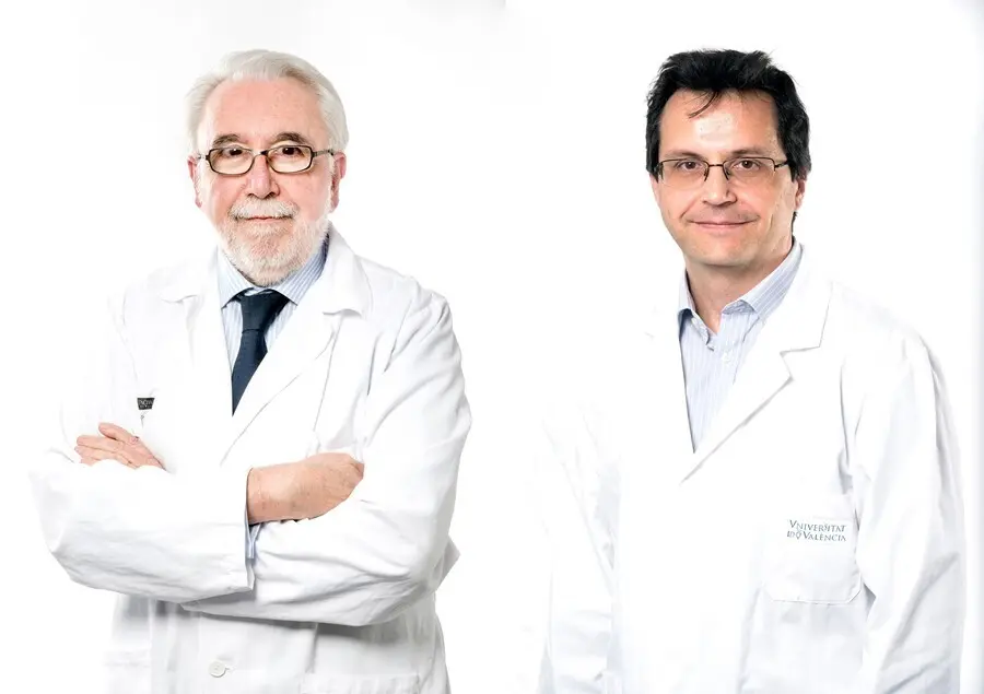 Investigadores del INCLIVA