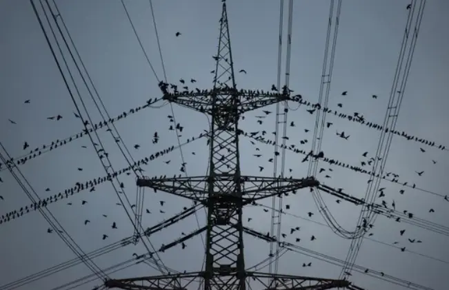 Tendido el&eacute;ctrico.