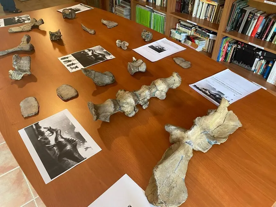 Huesos de dinosaurio en Vallibona