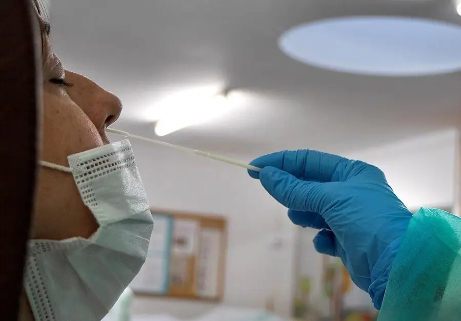 Archivo - PCR, test ant&iacute;geno