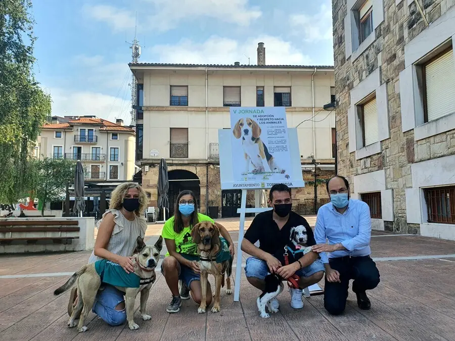 Feria adopci&oacute;n animales.