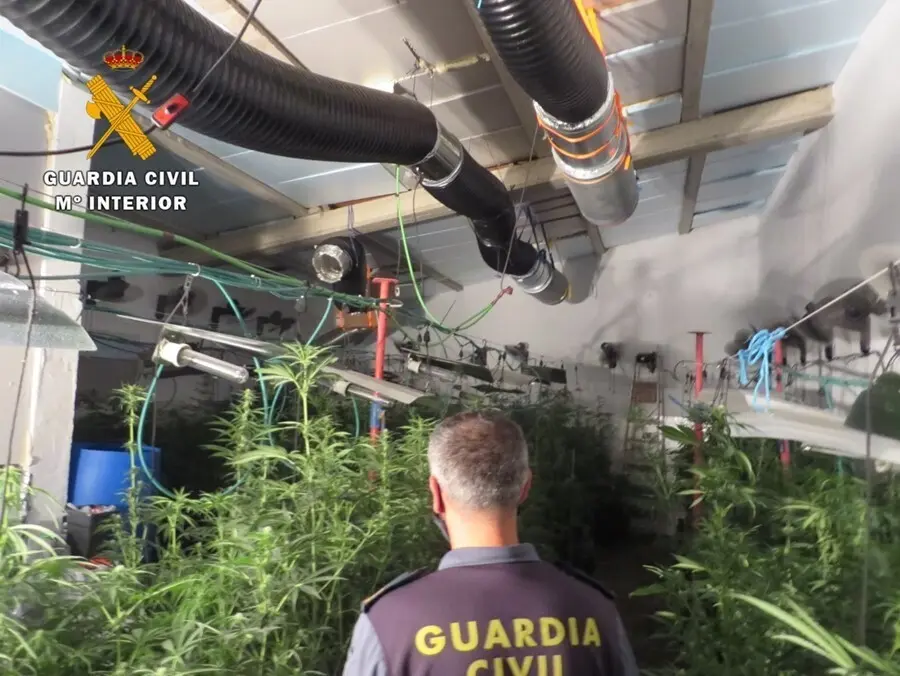 Nave indoor de cultivo de marihuana.