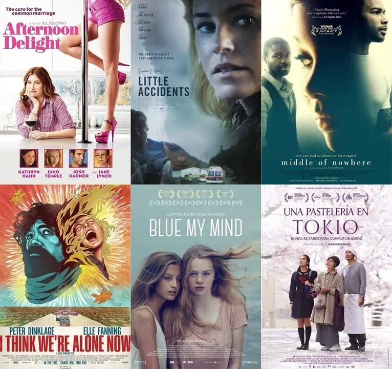 Las seis pel&iacute;culas del ciclo 'Creadoras'.