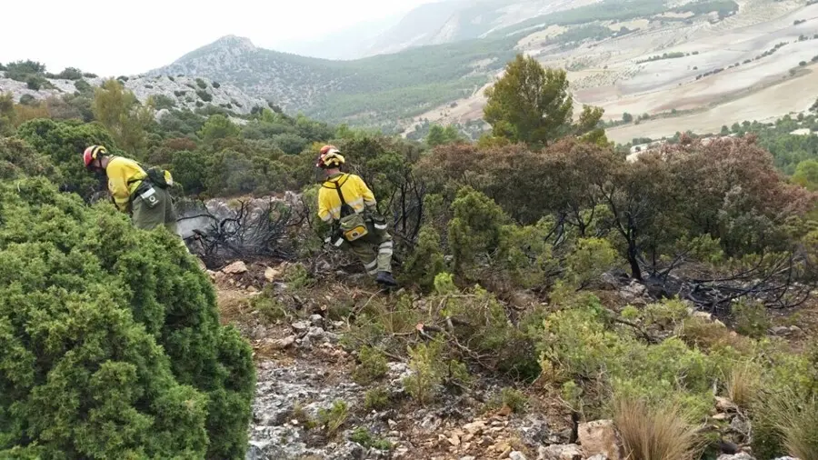 Zona del incendio en la Sierra del Gigante