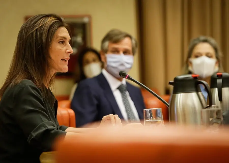 Archivo - La diputada del Grupo Popular  Valentina Mart&iacute;nez Ferro
