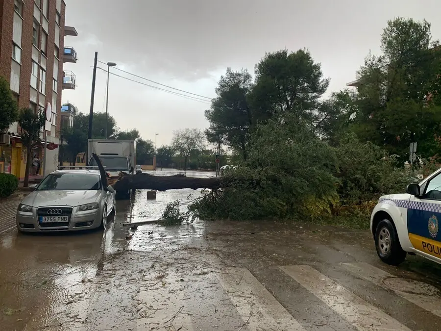 Da&ntilde;os provocados por la tormenta ca&iacute;da en Alc&aacute;zar.