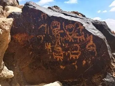 Analizan c&oacute;mo la colonizaci&oacute;n biol&oacute;gica de las rocas afecta a la conservaci&oacute;n de los petroglifos del desierto del Negev (Israel)