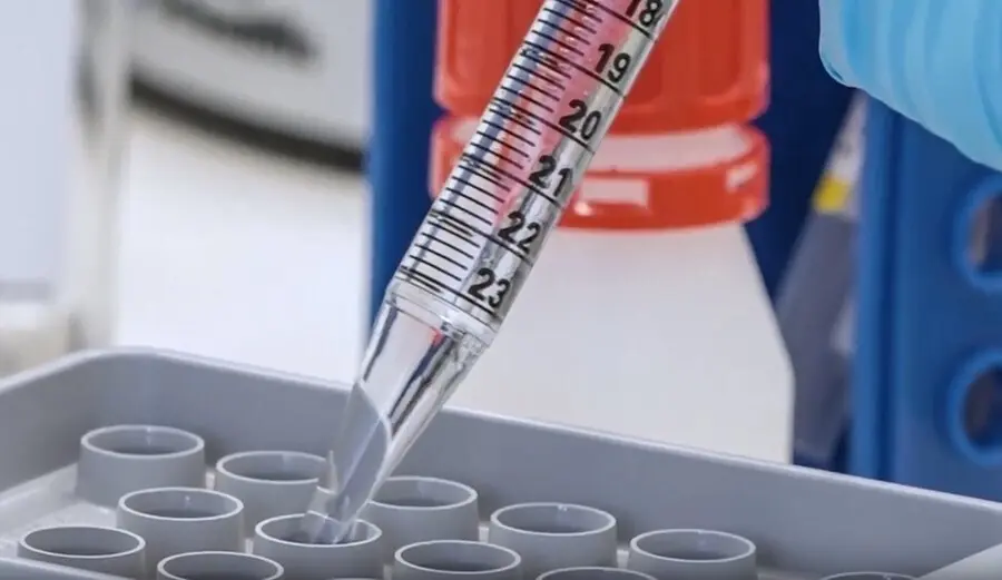 Nuevo m&eacute;todo para la detecci&oacute;n de SARS-COV-2 desarrollado por la UBU.