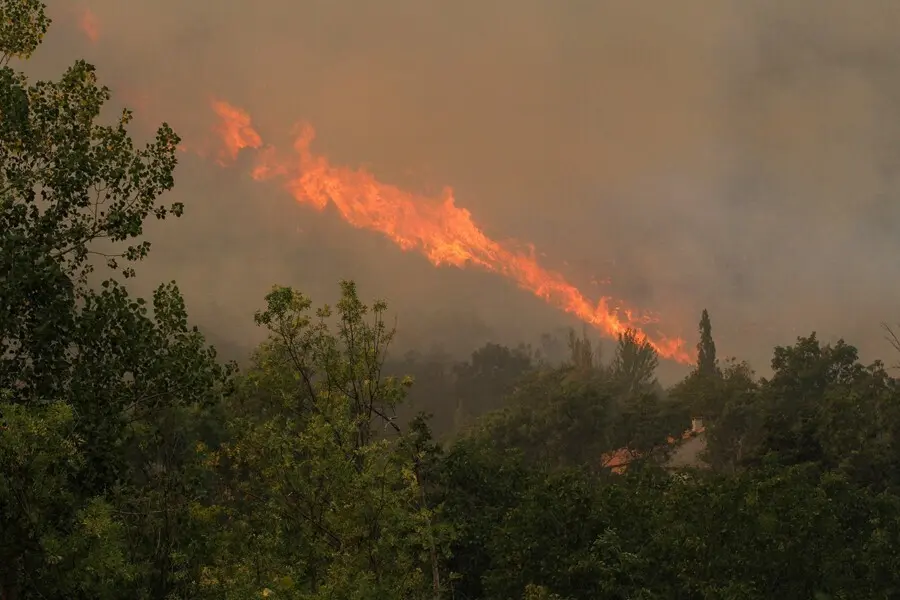 Incendio en el t&eacute;rmino municipal de Navalacruz (&Aacute;vila), a 16 de agosto de 2021.