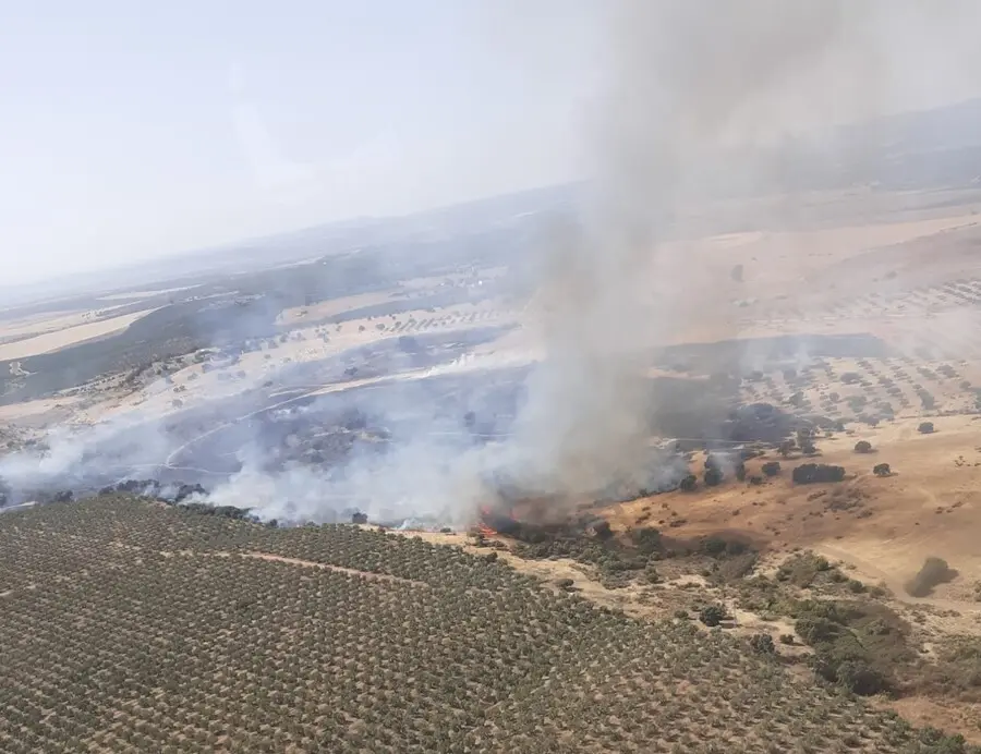 Incendio forestal en un paraje de Guadalc&aacute;zar
