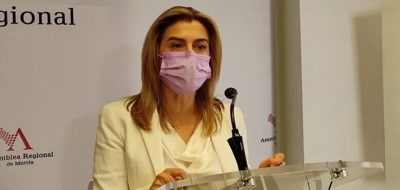 La diputada socialista Carmina Fern&aacute;ndez