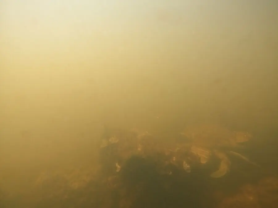 Im&aacute;genes del viernes 20 de agosto al norte de la isla del Sujeto (cubeta sur) ANSE WWF.JPG