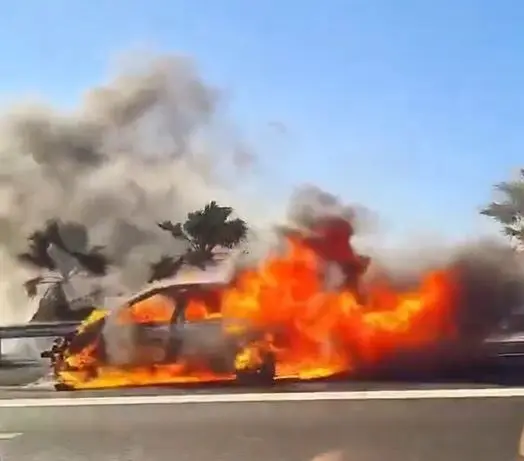 Incendio veh&iacute;culo Benalm&aacute;dena AP-7