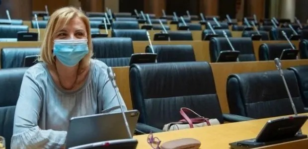 La portavoz del PP en la Comisi&oacute;n de Discapacidad en el Senado, Violante Tom&aacute;s