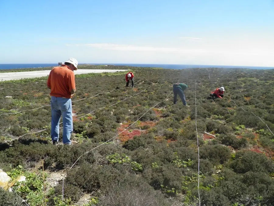 Archivo - T&eacute;cnicos de Medio Ambiente trabajan en la Isla de Albor&aacute;n         
