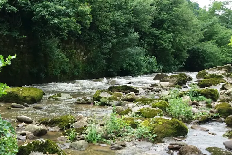Vista del r&iacute;o Besaya a su paso por Arenas de Igu&ntilde;a.