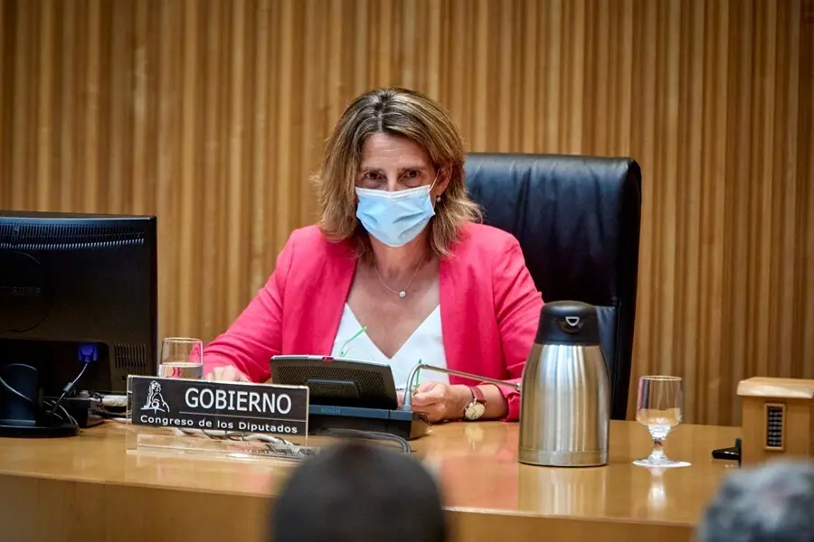 La ministra de Transici&oacute;n Ecol&oacute;gica y Reto Demogr&aacute;fico, Teresa Ribera.
