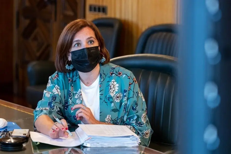 La vicealcaldesa de Zaragoza y consejera municipal de Cultura y Protecci&oacute;n Exterior, Sara Fern&aacute;ndez, durante su intervenci&oacute;n en el Consejo Local de Arag&oacute;n ampliado.