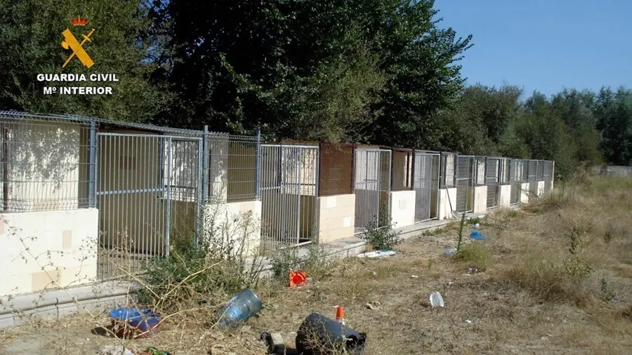 La Guardia Civil detiene a dos personas por la muerte y el maltrato de los perros en una residencia canina de Madrid.