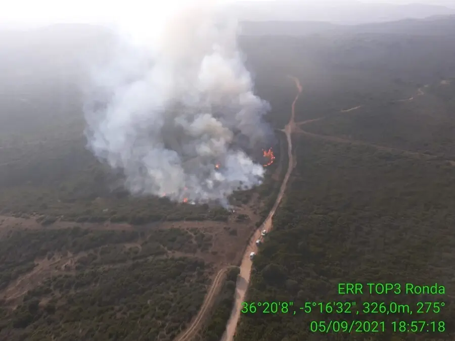 Incendio de San Roque (C&aacute;diz)