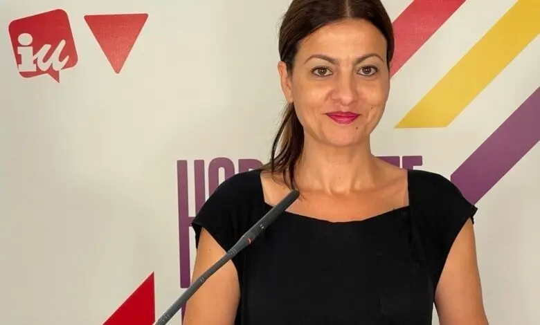 Imagen de la portavoz federal de IU y eurodiputada de la formaci&oacute;n, Sira Rego, durante una rueda de prensa telem&aacute;tica.